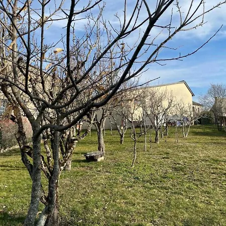 Charmante Maison 3 Avec Jardin, Cheminee, Parking, Proche Conques Et Activites Plein Air - Fr-1-742-168 Σπίτι διακοπών *